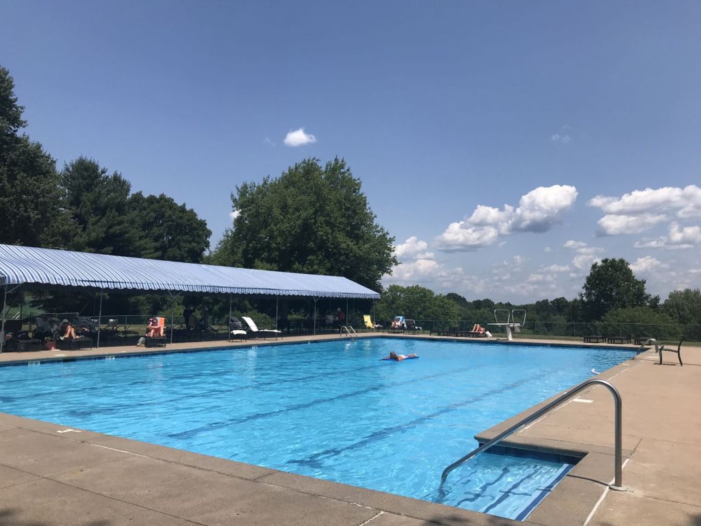 guest swimming in the pool