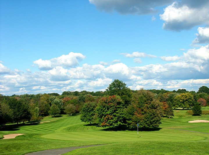 looking at the fairway and trees from the green