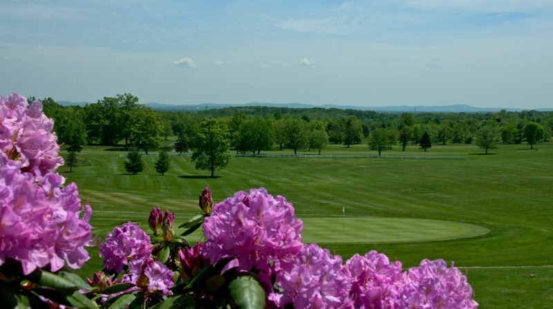 view of the golf course